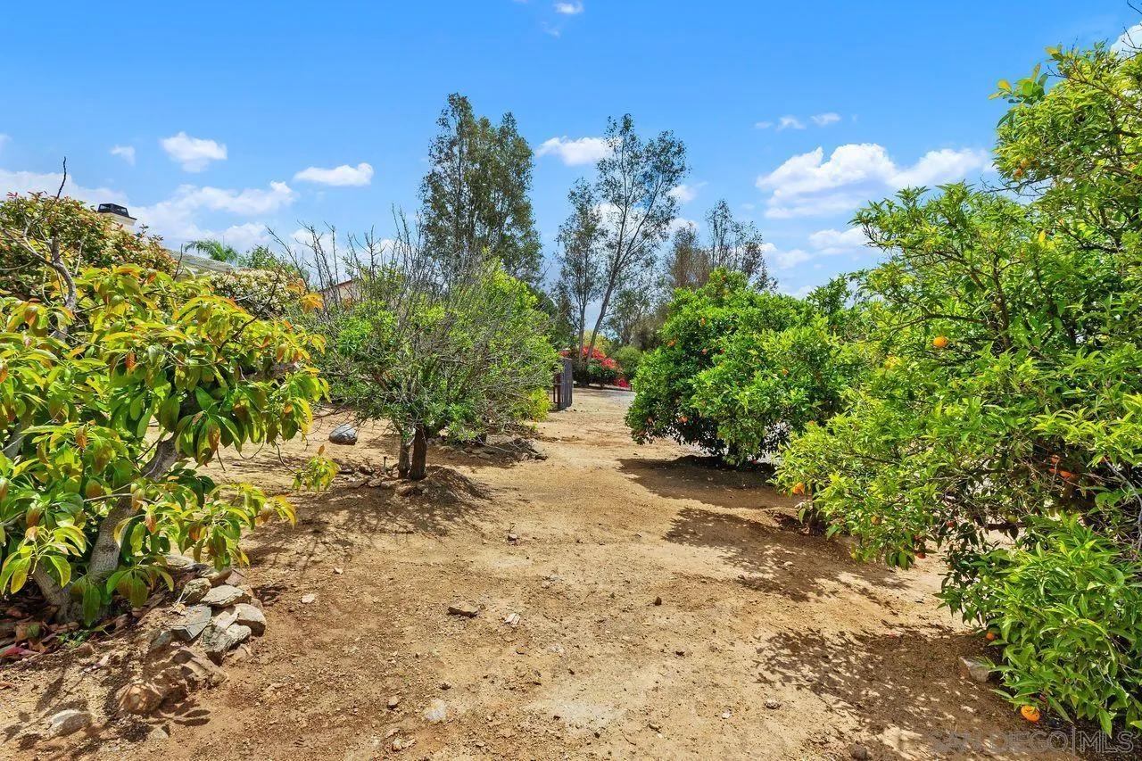 14353 Sandhill Road Poway, CA 92064 - Photo 37 of 44 Gallery Image 37