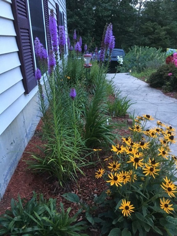 96 Rindge State Road Ashburnham, MA 01430 - Photo 3 of 25