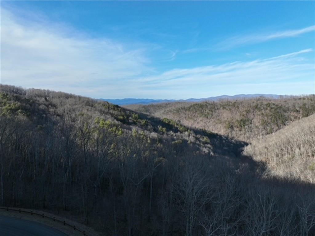 249 Andes Ridge Talking Rock, GA 30175 - Photo 11 of 20