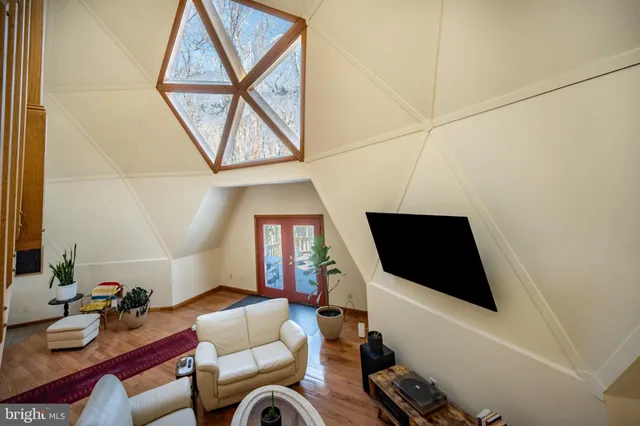 a living room with furniture flowerpot and wooden floor