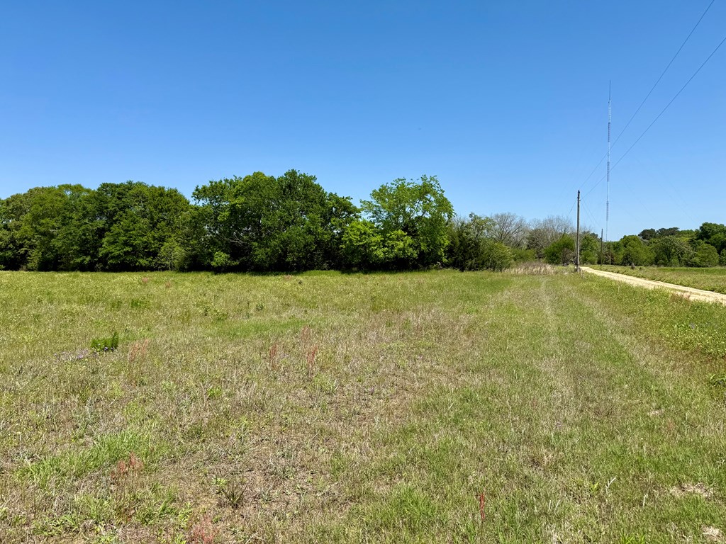 12.37-acres Huskey Road Dothan, AL 36303 - Photo 8 of 16