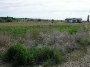180 Bus Road Mabton, WA 98935 - Photo 5 of 5 a view of a green field with lots of bushes