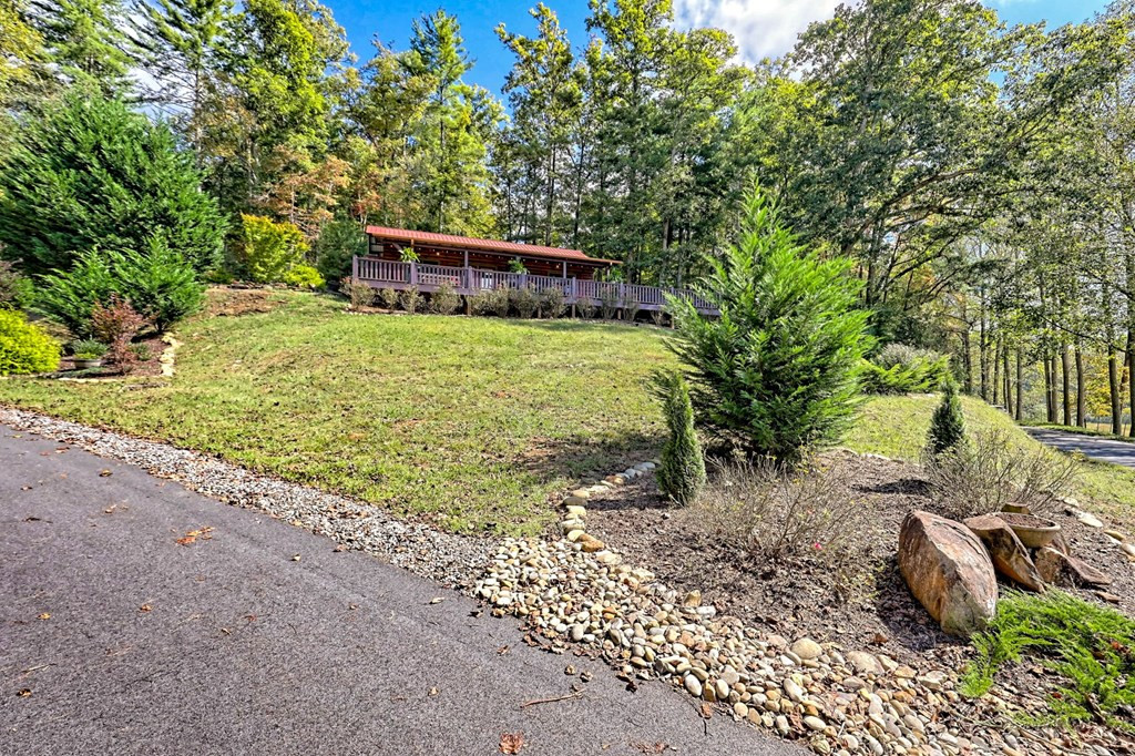 650 Johnsonville Road Murphy, NC 28906 - Photo 5 of 54