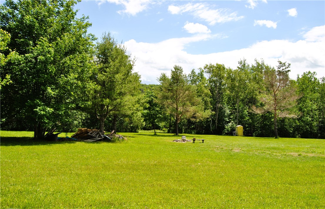 10322 Mattoon Road Prattsburgh, NY 14873 - Photo 11 of 20 Fire pit with wood to burn!