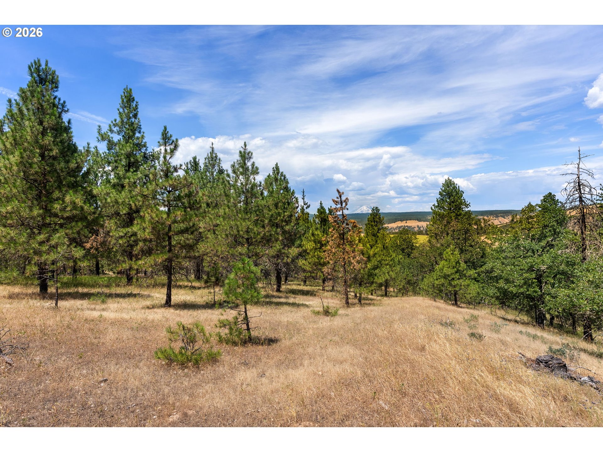 Rowland Road Lyle, WA 98635 - Photo 2 of 19