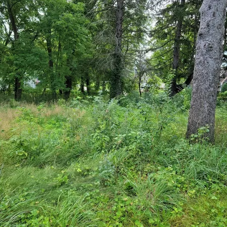 a view of outdoor space and yard