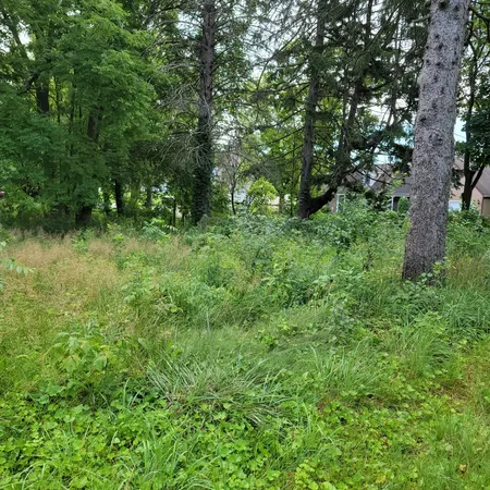 a view of yard with green space