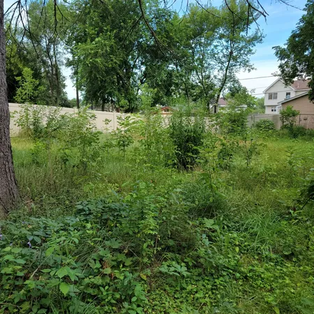 a view of a lush green space