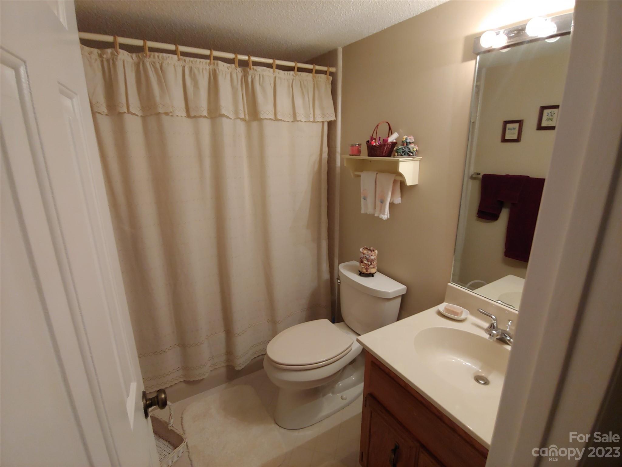 87 Willow Road, Unit D14 Waynesville, NC 28786 - Photo 40 of 47 a bathroom with a sink a toilet and shower curtain