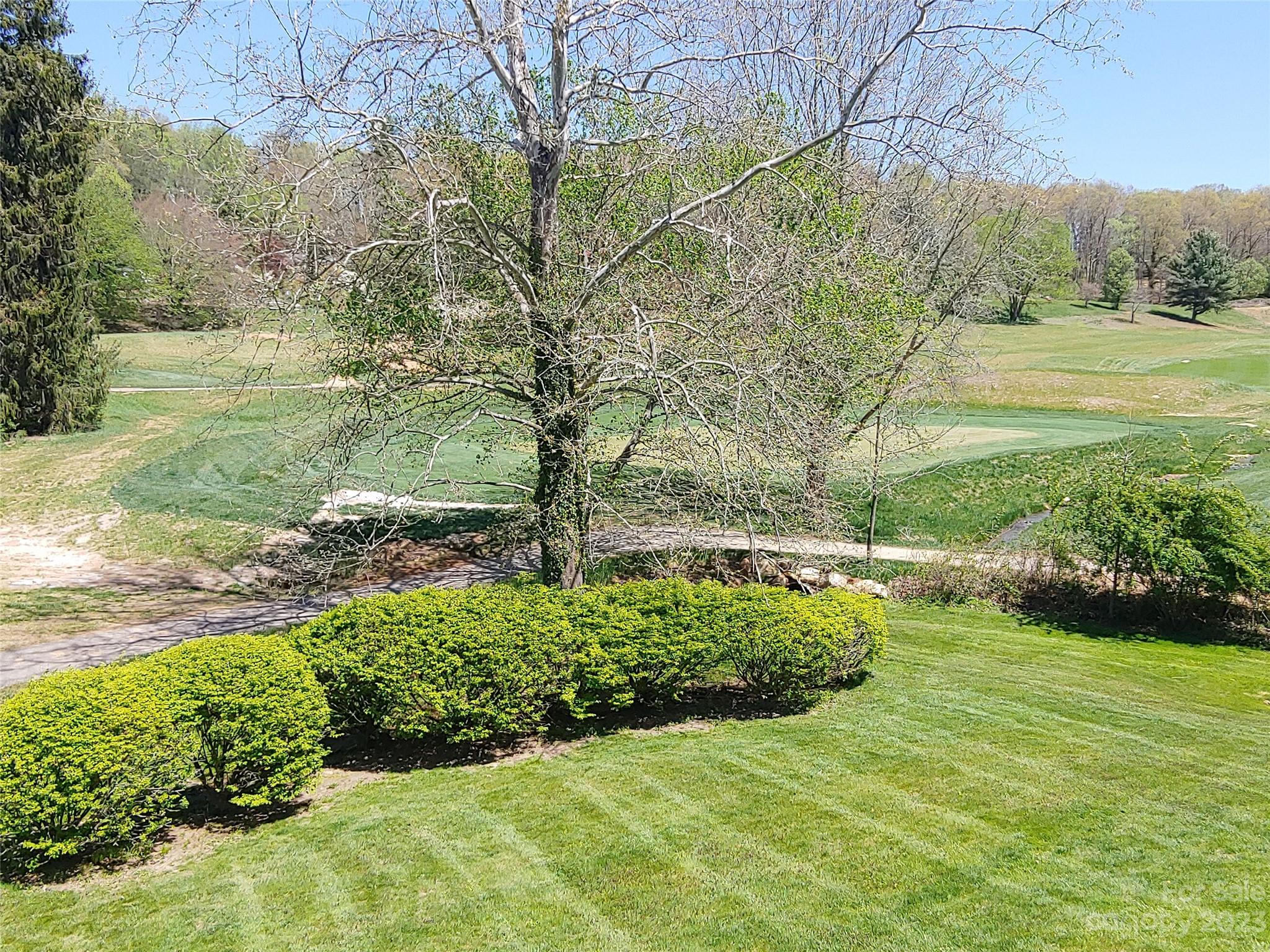 87 Willow Road, Unit D14 Waynesville, NC 28786 - Photo 43 of 47 a view of a garden with an outdoor space