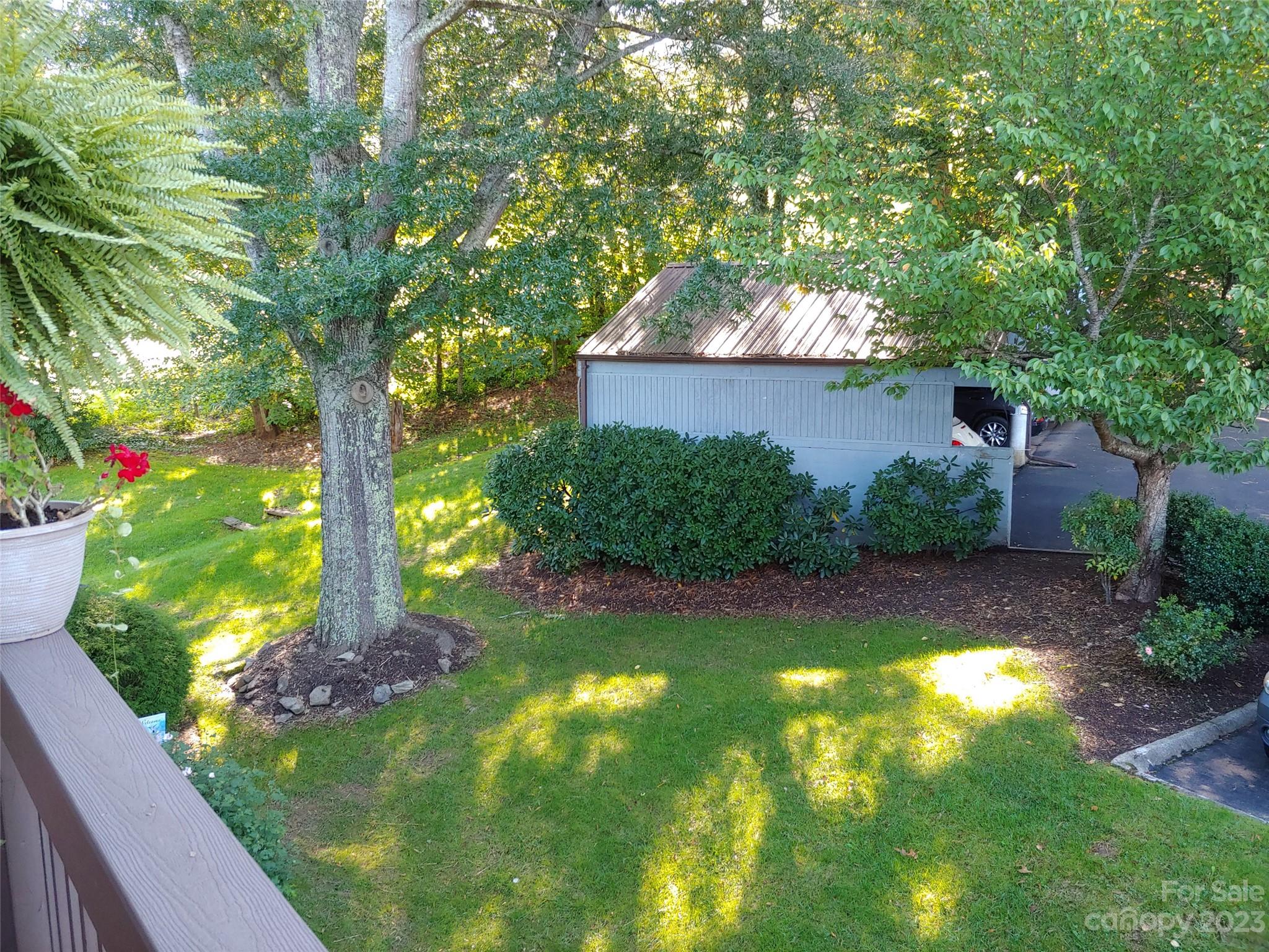 87 Willow Road, Unit D14 Waynesville, NC 28786 - Photo 7 of 47 a view of backyard with potted plants and a large tree