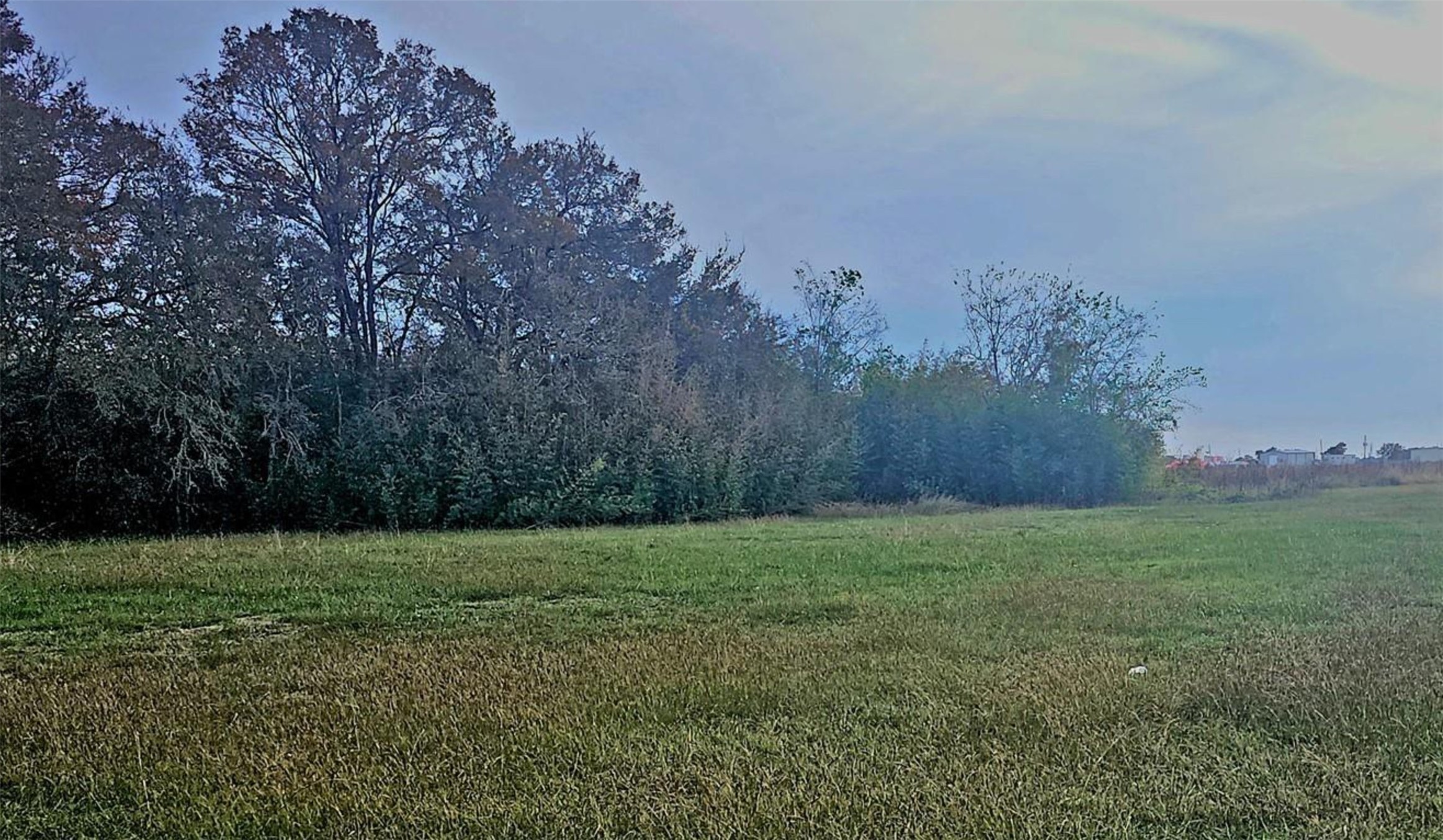 2838 Old Lane City Road Wharton, TX 77488 - Photo 5 of 7