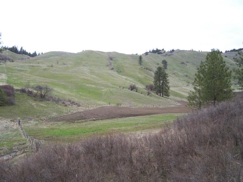 17-xx Rickey Canyon Road Rice, WA 99167 - Photo 3 of 14