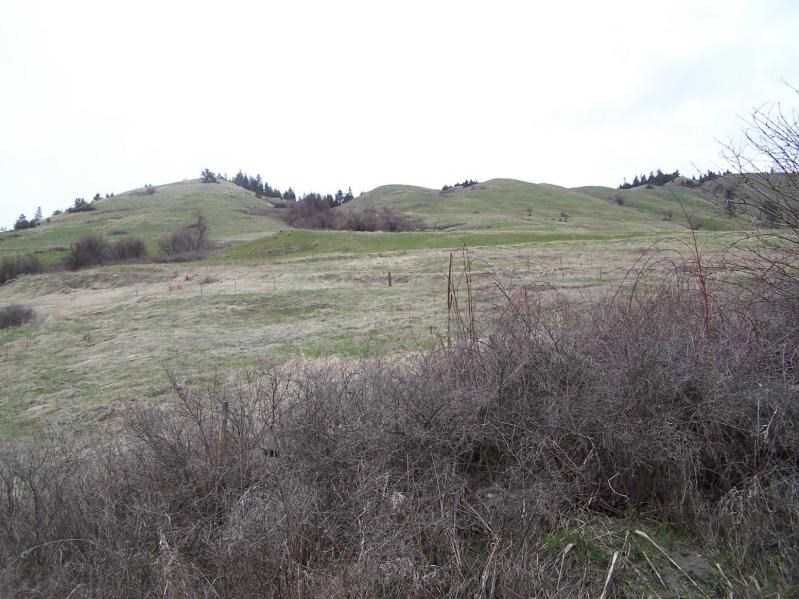 17-xx Rickey Canyon Road Rice, WA 99167 - Photo 8 of 14