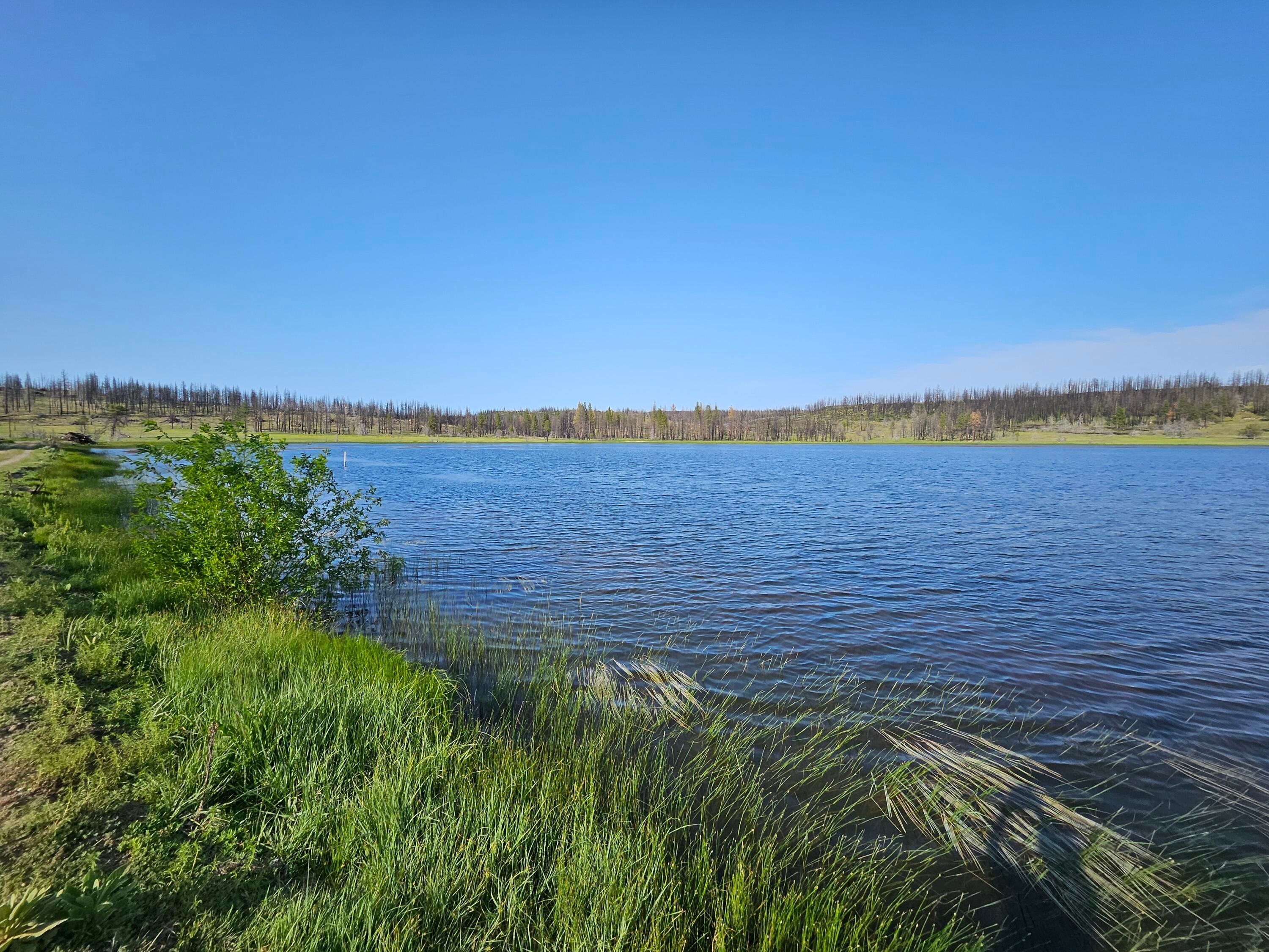 8 Parazoo Trail Bly, OR 97622 - Photo 26 of 27 community pond