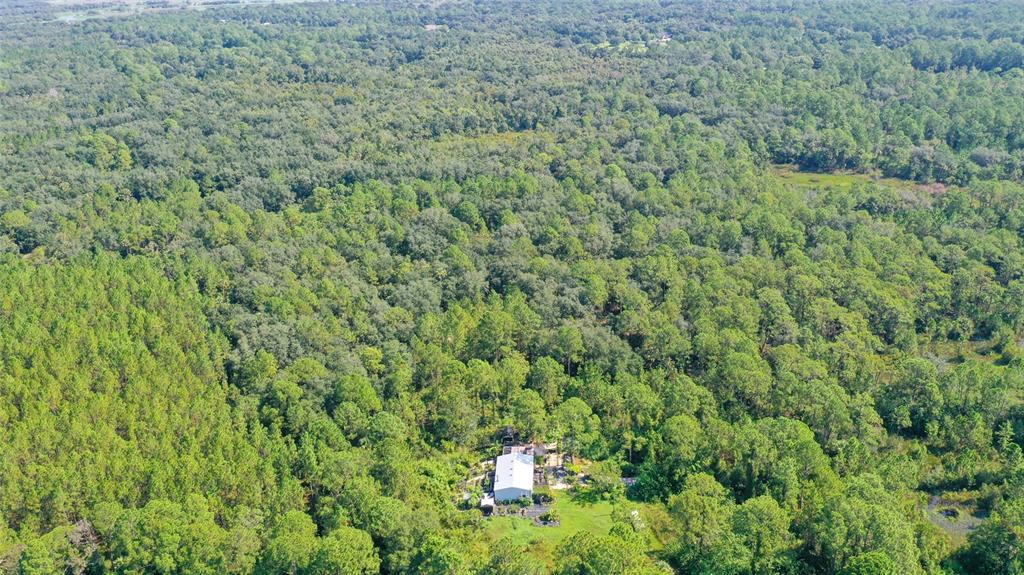 2968 West Osceola Road Geneva, FL 32732 - Photo 3 of 14 Gallery Image 3