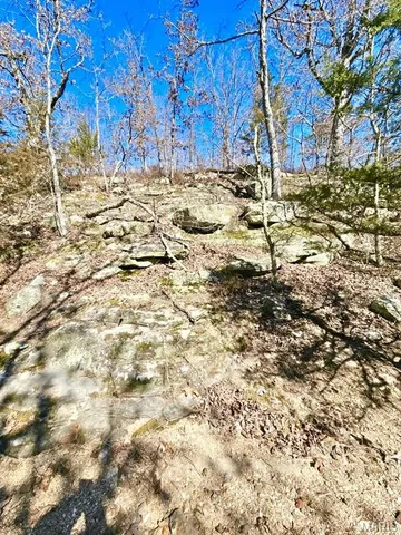 $315,000 | 15383 County Road 6220, Edgar Springs, MO 65462