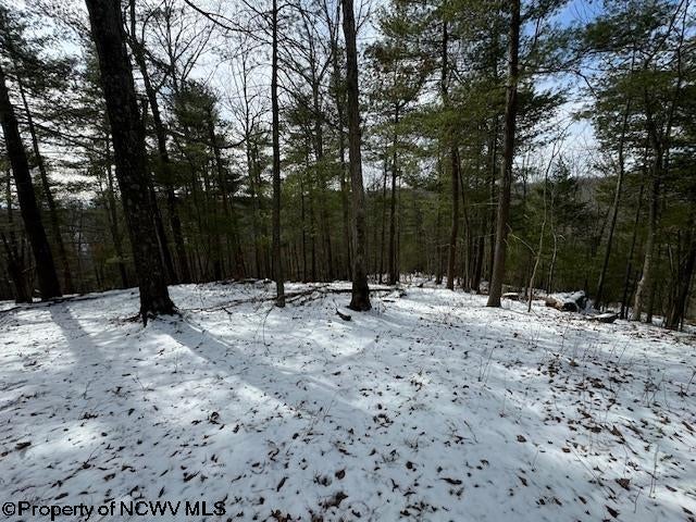 1 Spruce Run Poca, WV 25159 - Photo 19 of 38 Gallery Image 19