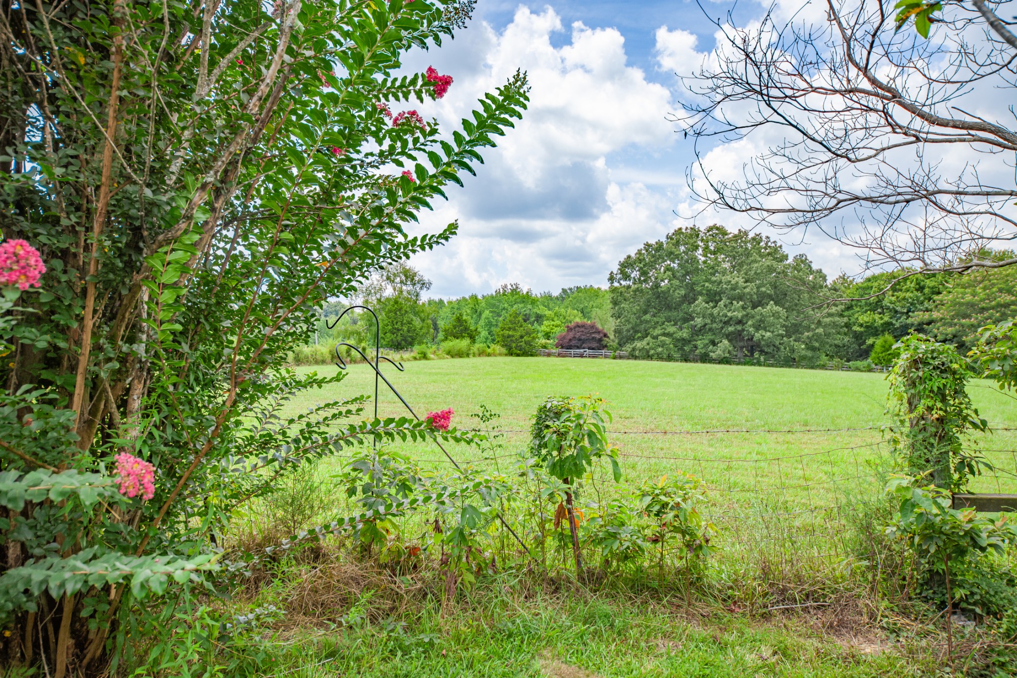 915 Maddox Road Centerville, TN 37033 - Photo 77 of 90