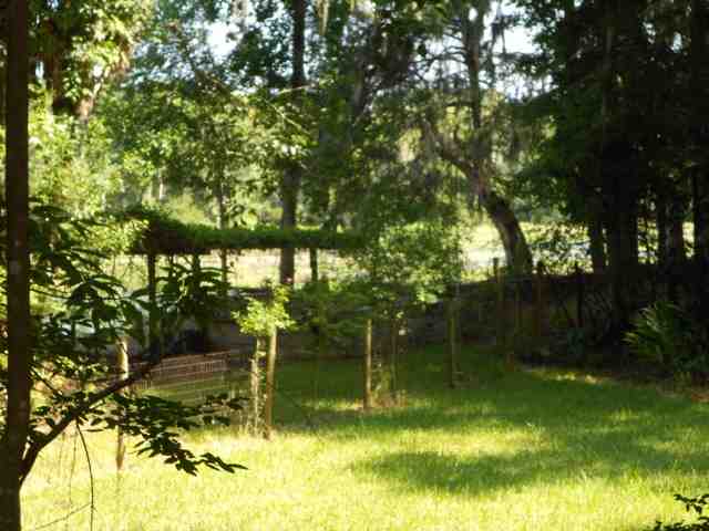 Lot 8 St Marks Rise Road, Unit I Crawfordville, FL 32327 - Photo 11 of 25 Gallery Image 11