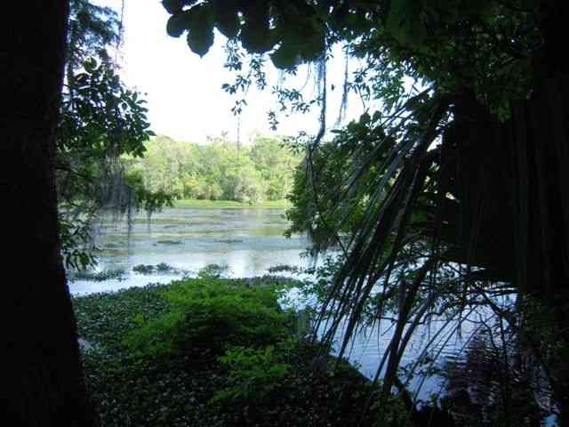 Lot 8 St Marks Rise Road, Unit I Crawfordville, FL 32327 - Photo 17 of 25 Gallery Image 17