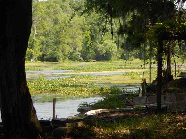 Lot 8 St Marks Rise Road, Unit I Crawfordville, FL 32327 - Photo 23 of 25 Gallery Image 23