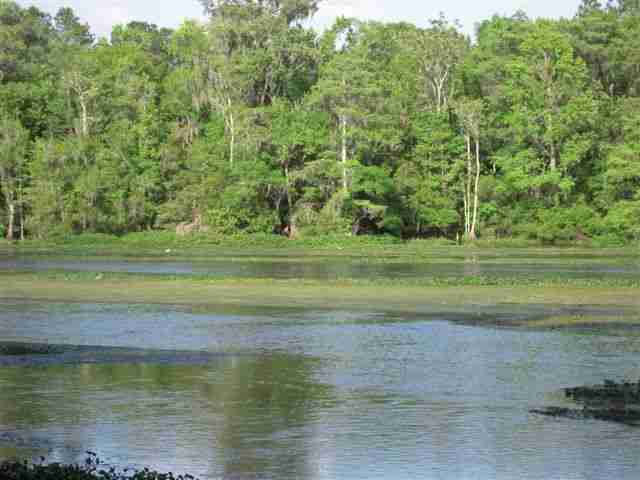 Lot 8 St Marks Rise Road, Unit I Crawfordville, FL 32327 - Photo 24 of 25 Gallery Image 24