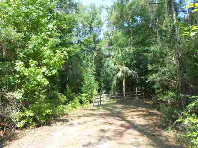 Lot 8 St Marks Rise Road, Unit I Crawfordville, FL 32327 - Photo 3 of 25 Gallery Image 3
