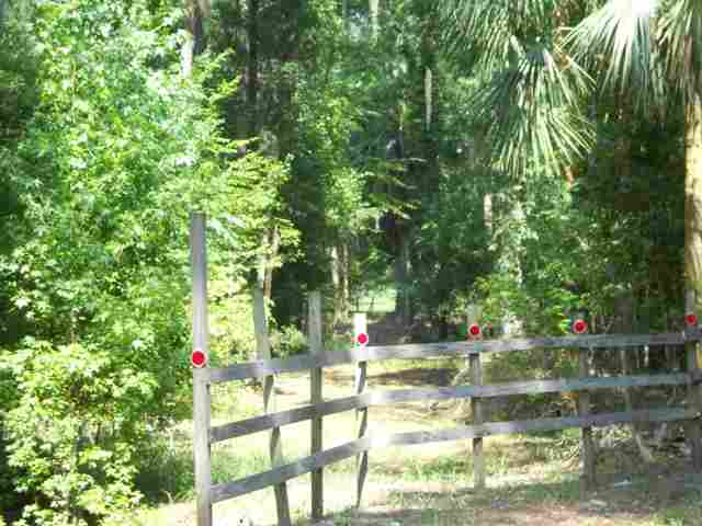 Lot 8 St Marks Rise Road, Unit I Crawfordville, FL 32327 - Photo 4 of 25 Gallery Image 4