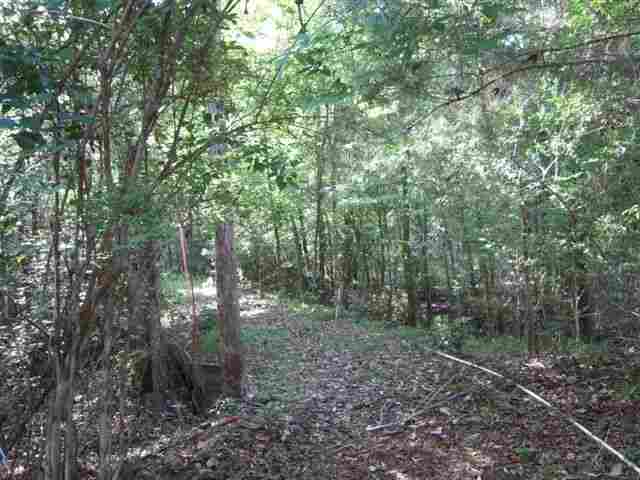 Lot 8 St Marks Rise Road, Unit I Crawfordville, FL 32327 - Photo 5 of 25 Gallery Image 5