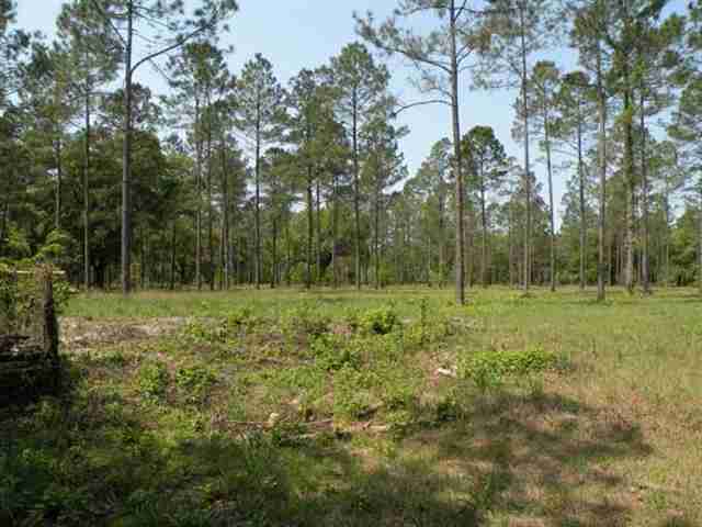 Lot 8 St Marks Rise Road, Unit I Crawfordville, FL 32327 - Photo 6 of 25 Gallery Image 6