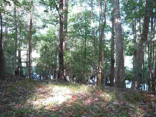 Lot 8 St Marks Rise Road, Unit I Crawfordville, FL 32327 - Photo 9 of 25 Gallery Image 9