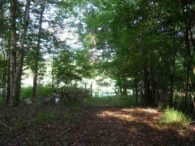 Lot 8 St Marks Rise Road, Unit I Crawfordville, FL 32327 - Photo 10 of 25 Gallery Image 10
