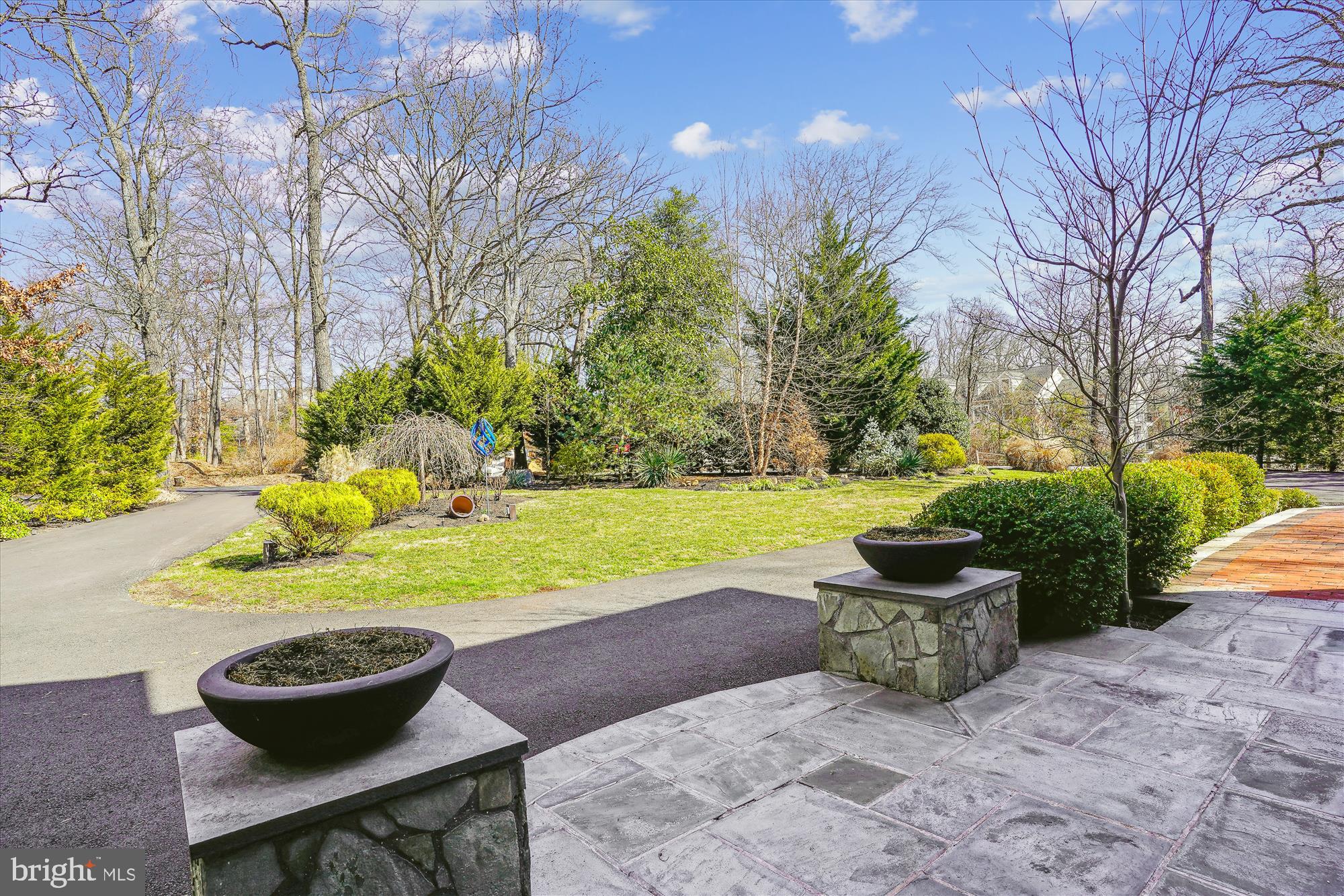 1212 Shenandoah Road Alexandria, VA 22308 - Photo 63 of 98 There are many flowering shrubs and bulbs to enjoy