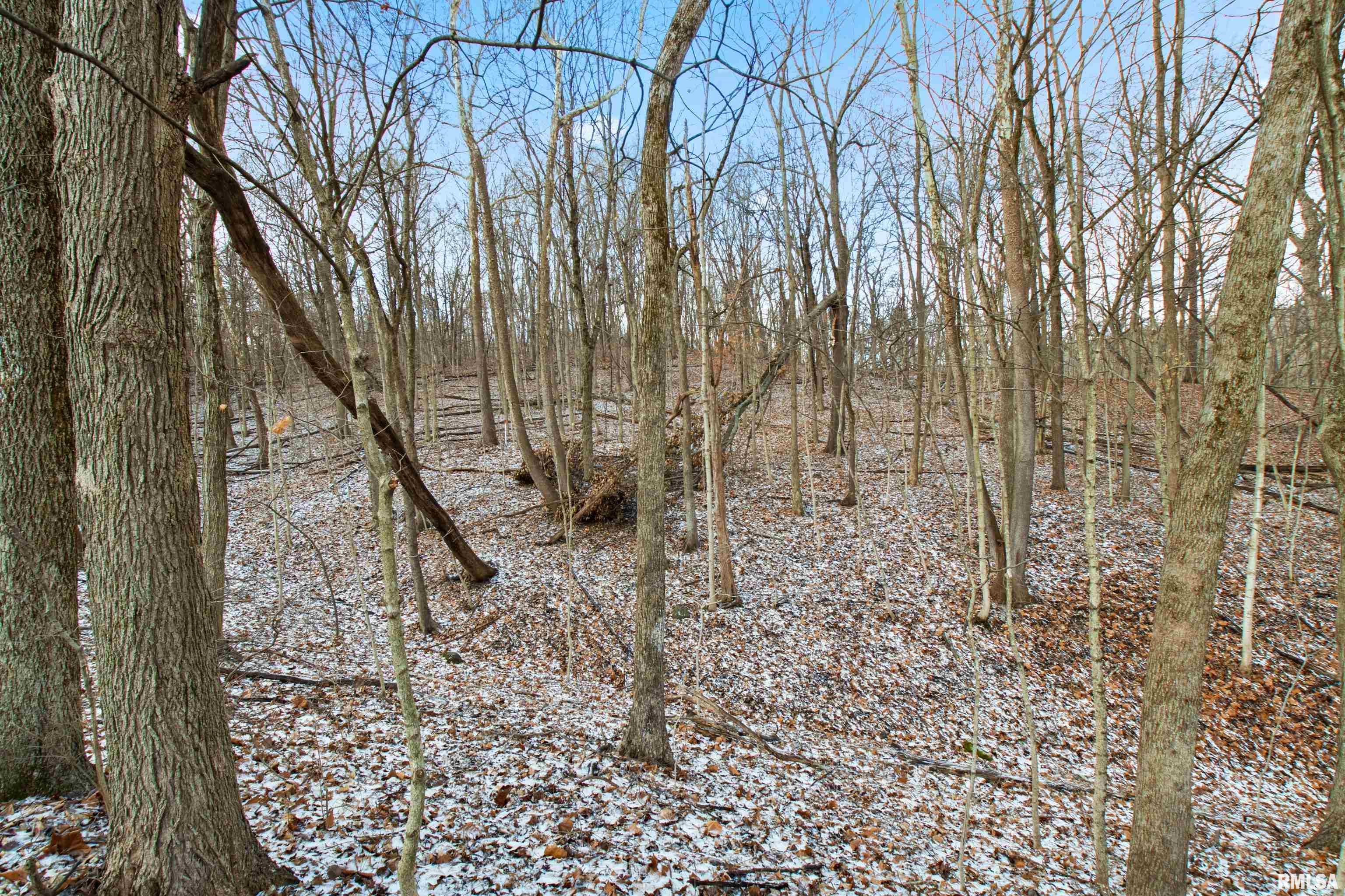 0 North Ivy Lake Road Chillicothe, IL 61523 - Photo 15 of 41