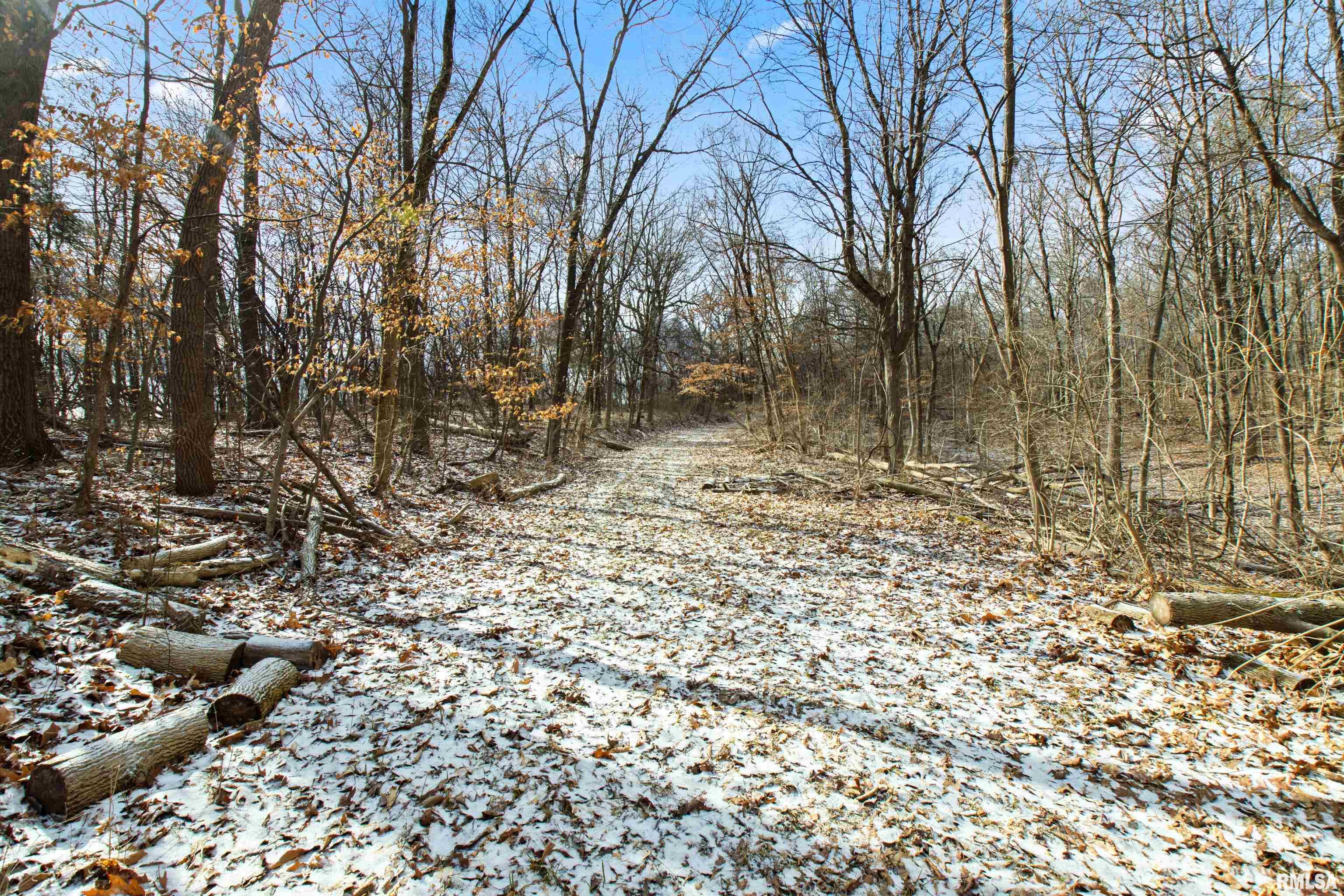 0 North Ivy Lake Road Chillicothe, IL 61523 - Photo 16 of 41