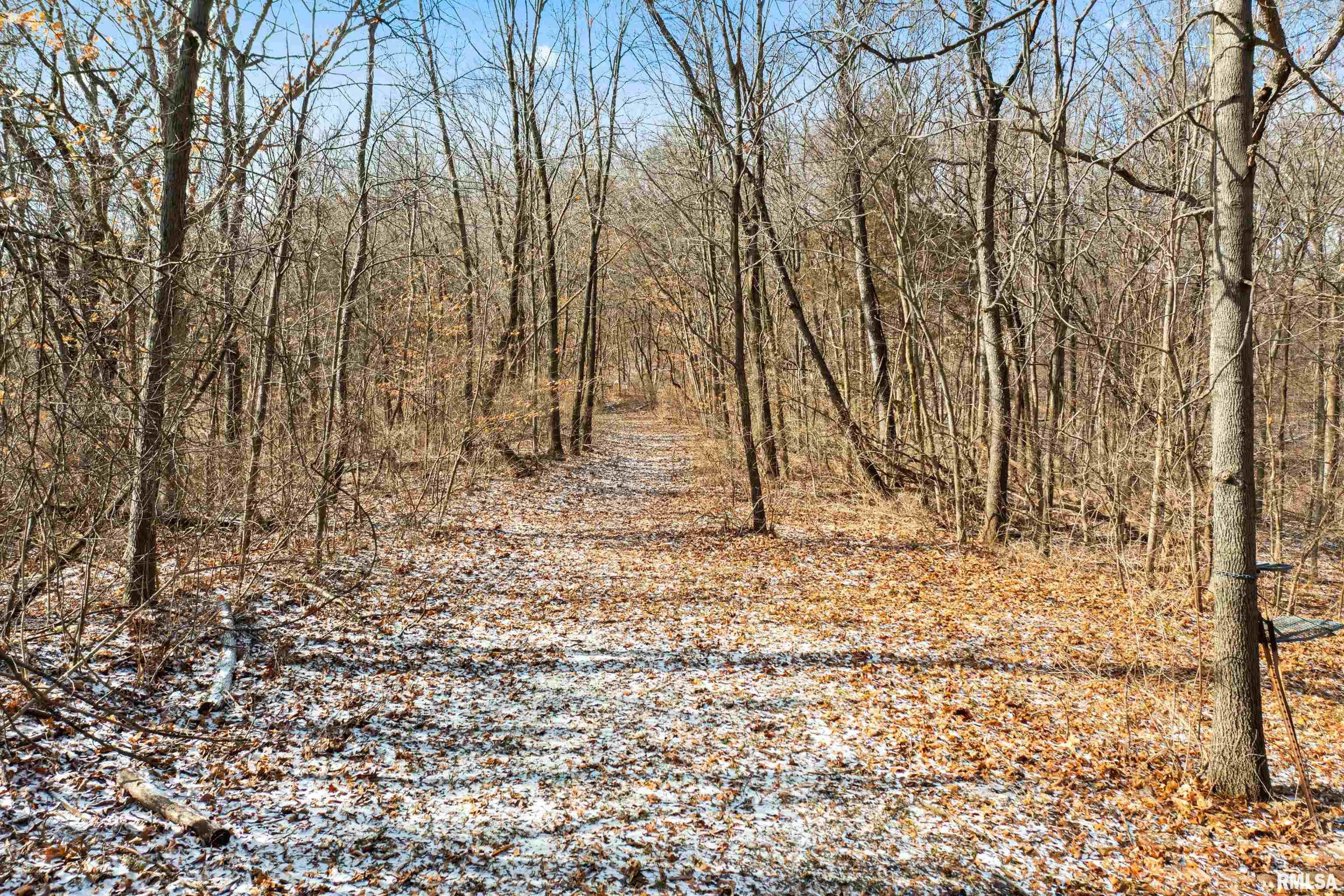 0 North Ivy Lake Road Chillicothe, IL 61523 - Photo 17 of 41