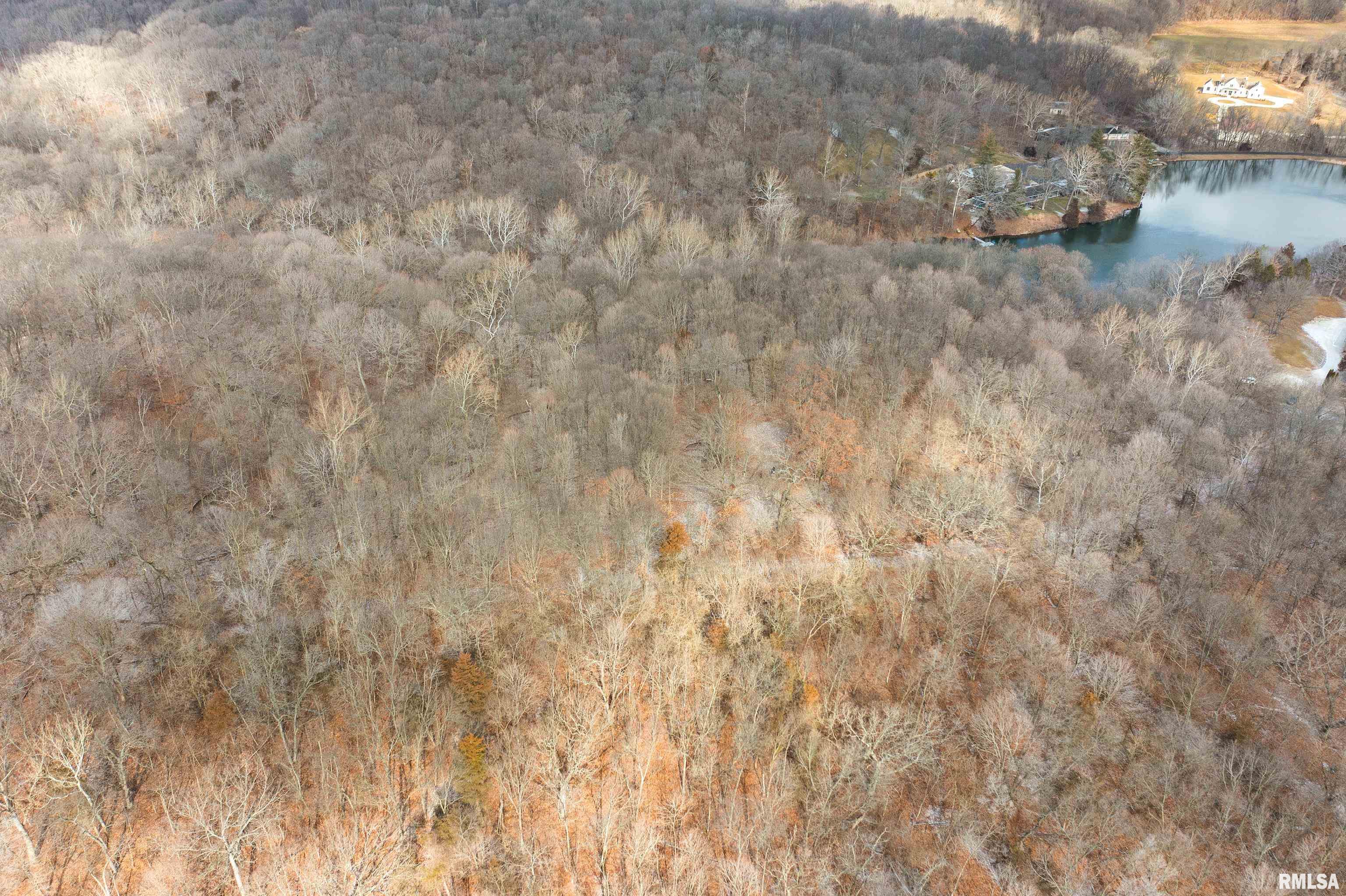 0 North Ivy Lake Road Chillicothe, IL 61523 - Photo 19 of 41