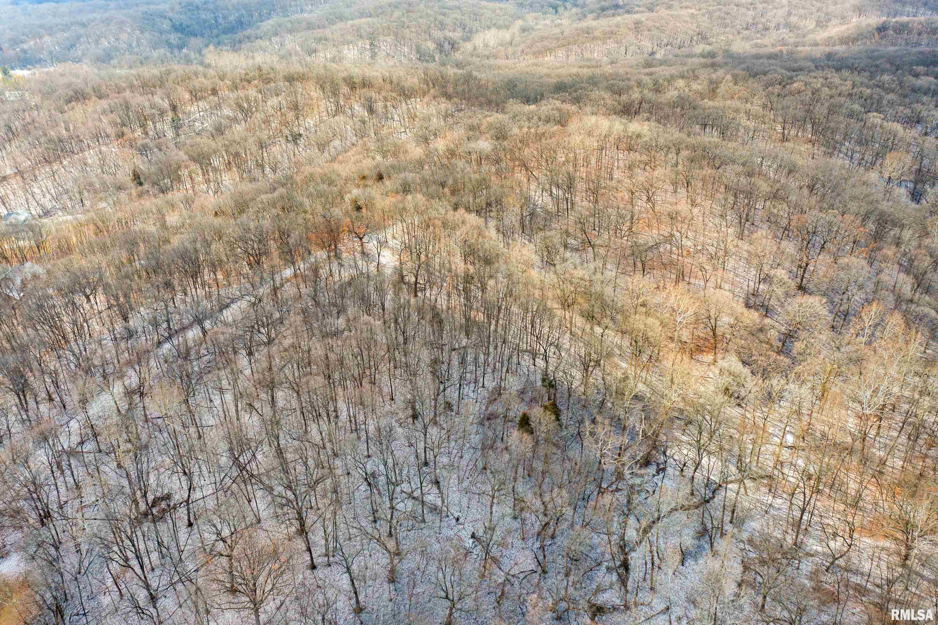 0 North Ivy Lake Road Chillicothe, IL 61523 - Photo 20 of 41