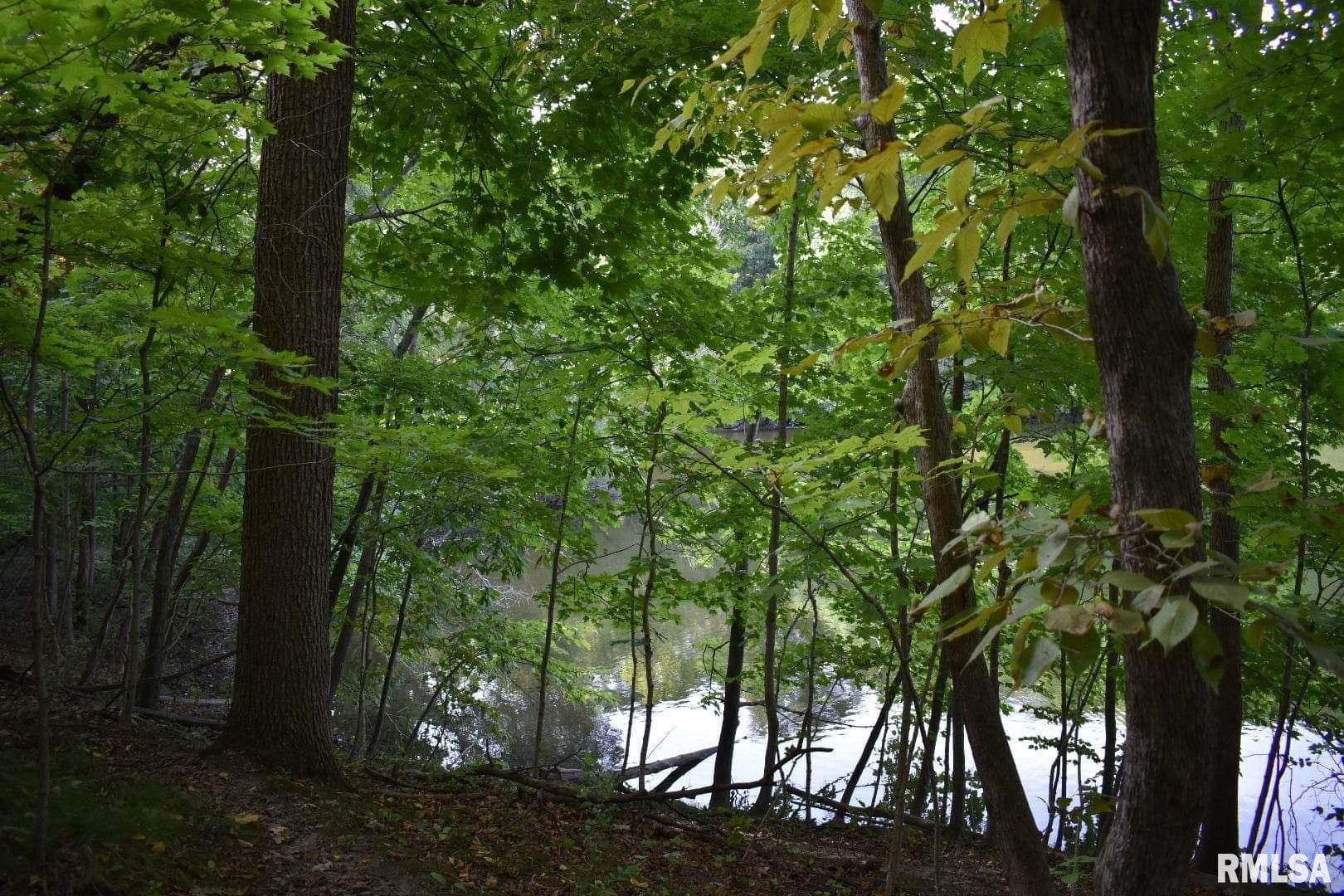 0 North Ivy Lake Road Chillicothe, IL 61523 - Photo 2 of 41