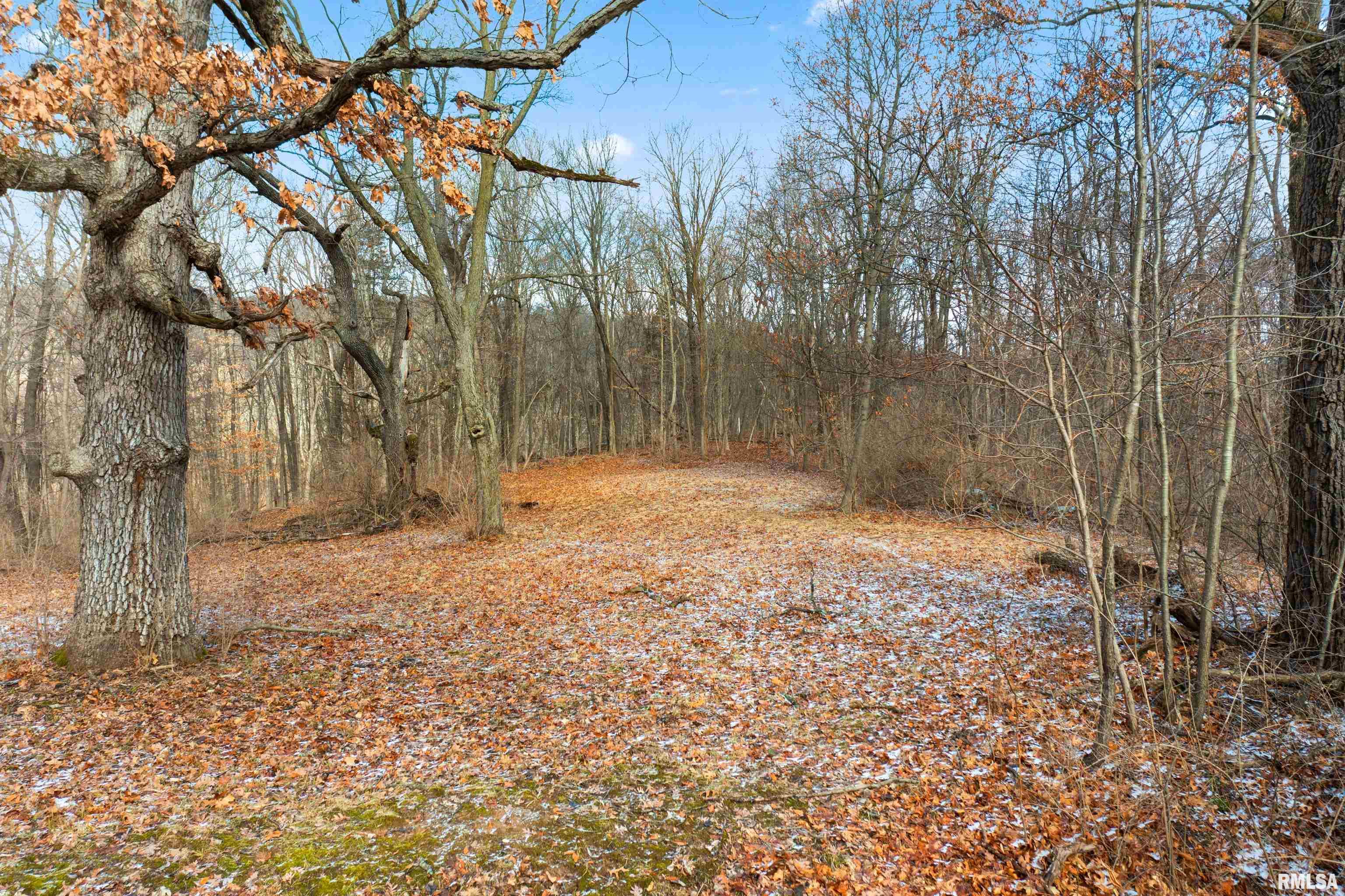 0 North Ivy Lake Road Chillicothe, IL 61523 - Photo 27 of 41