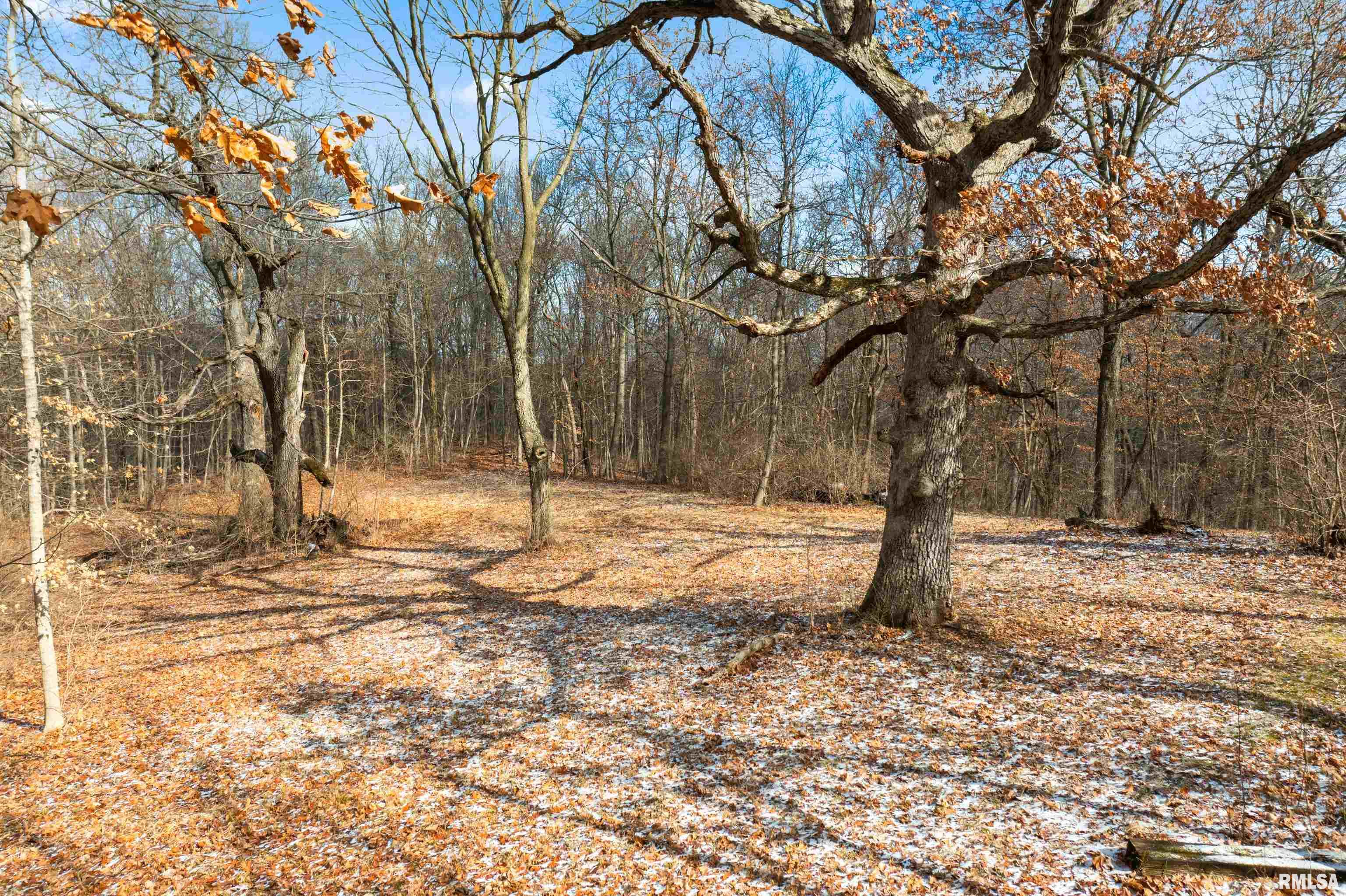 0 North Ivy Lake Road Chillicothe, IL 61523 - Photo 28 of 41