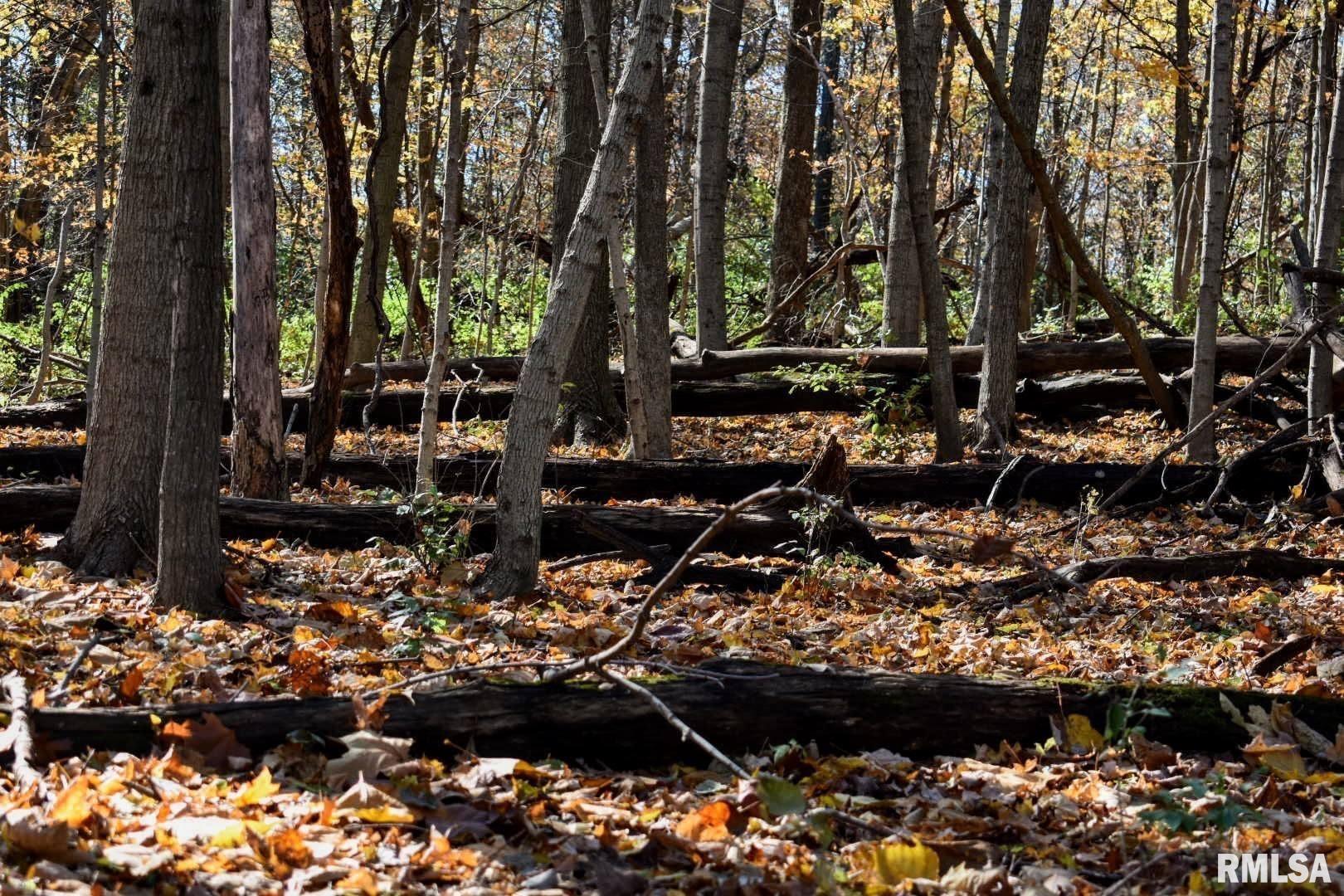 0 North Ivy Lake Road Chillicothe, IL 61523 - Photo 29 of 41