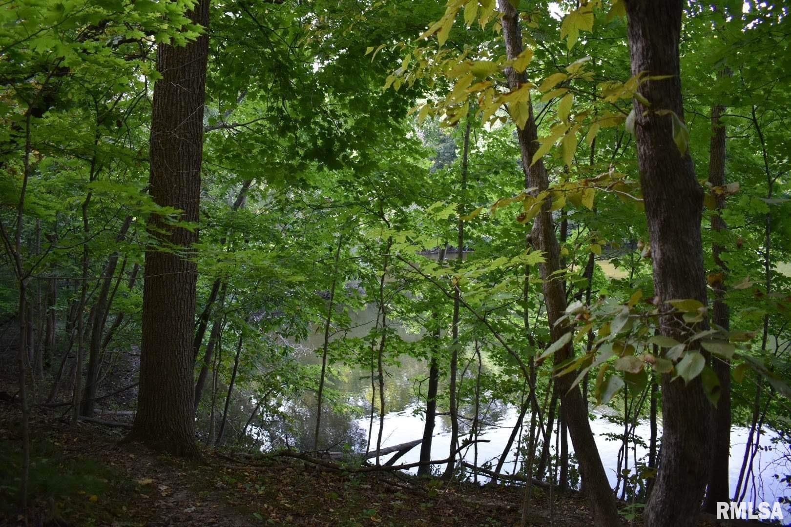 0 North Ivy Lake Road Chillicothe, IL 61523 - Photo 30 of 41