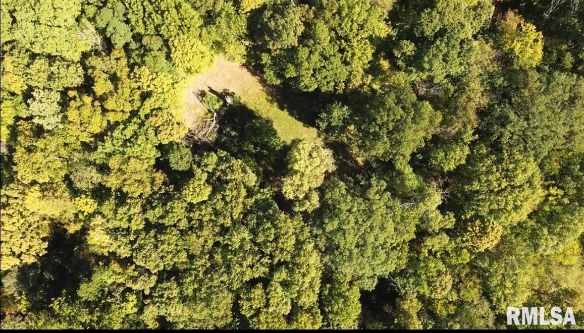 0 North Ivy Lake Road Chillicothe, IL 61523 - Photo 3 of 41