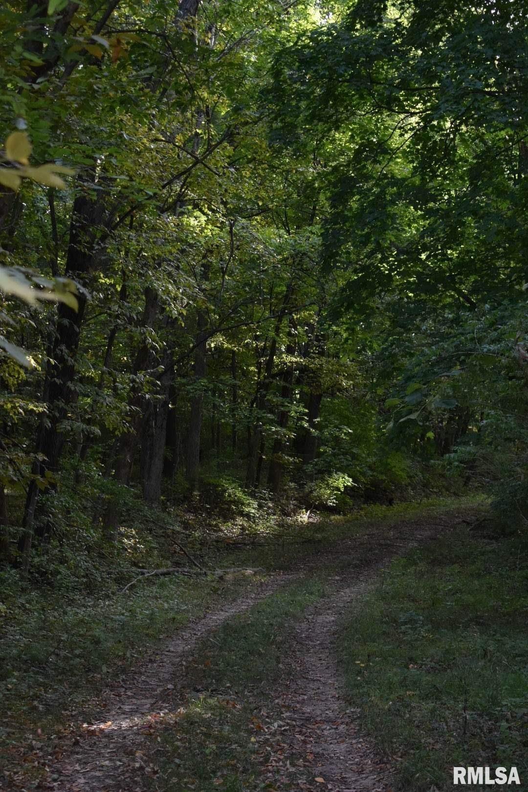 0 North Ivy Lake Road Chillicothe, IL 61523 - Photo 31 of 41