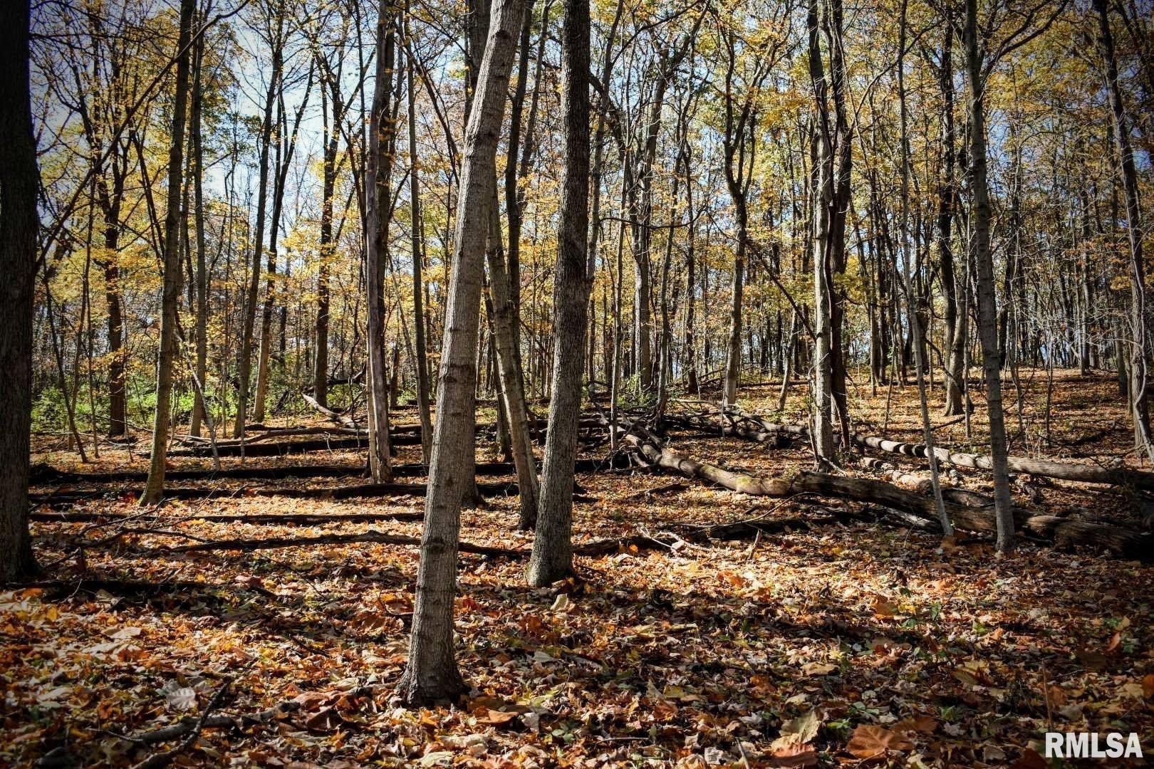 0 North Ivy Lake Road Chillicothe, IL 61523 - Photo 32 of 41