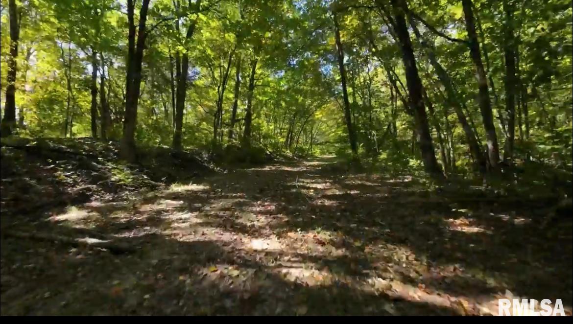 0 North Ivy Lake Road Chillicothe, IL 61523 - Photo 36 of 41