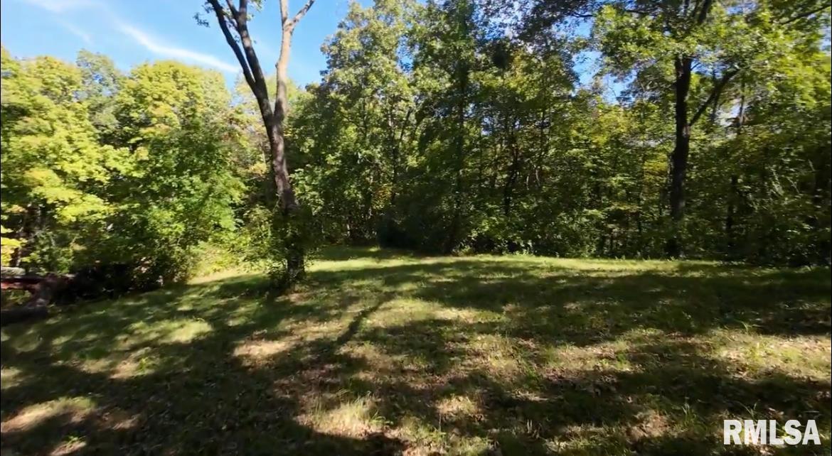 0 North Ivy Lake Road Chillicothe, IL 61523 - Photo 37 of 41