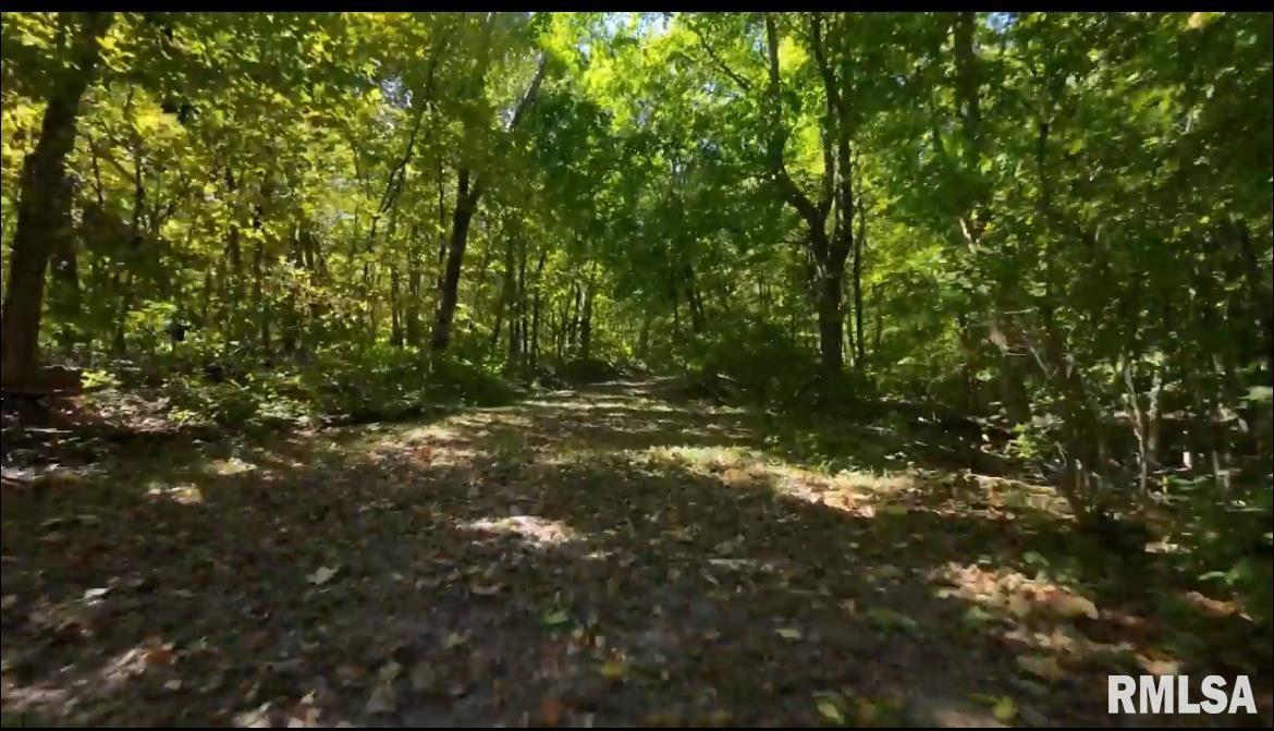 0 North Ivy Lake Road Chillicothe, IL 61523 - Photo 38 of 41